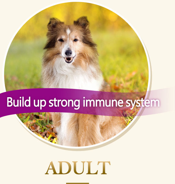 Build up strong immune system-ADULT