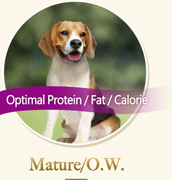 Optimal Protein / Fat / Calorie-Mature O.W
